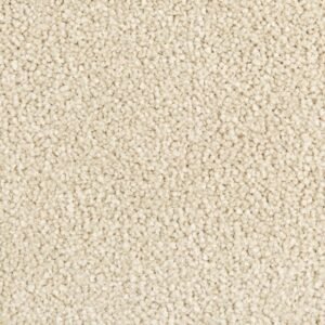 Puerto Rico Junior Toro Verde