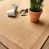 Sisal Carpet