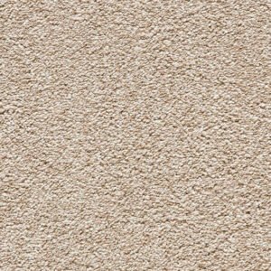 Beige Twist Carpet