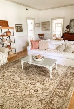 Living room carpet for wooden floors