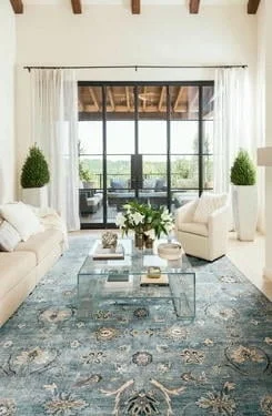 Pet friendly Carpet for Homes