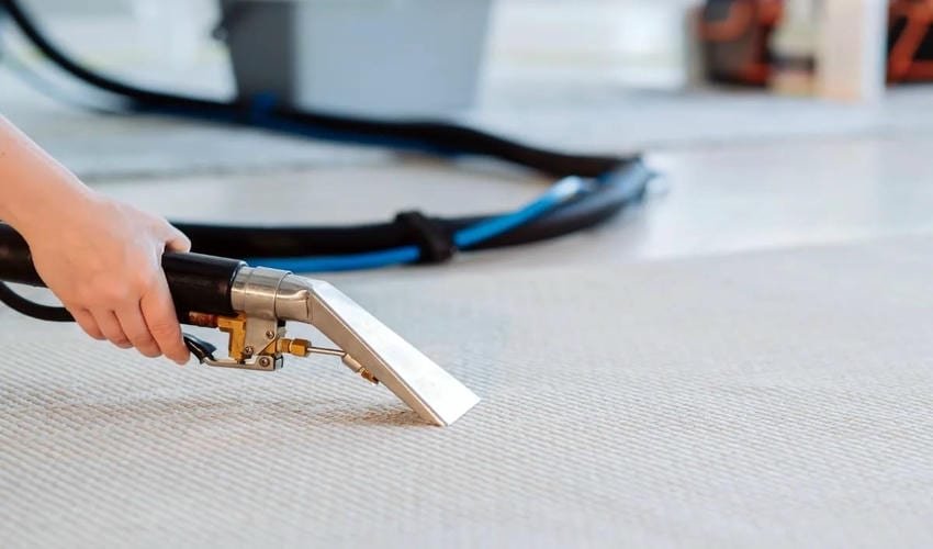 Carpet Spot Cleaning