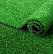 Grass Carpet