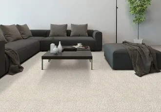 Living Room Carpet