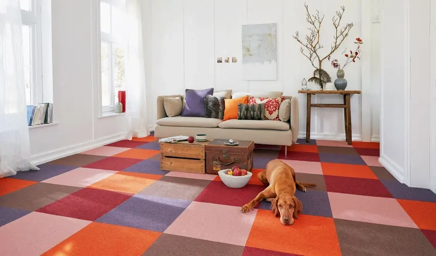 Best Colors and Patterns for Carpets