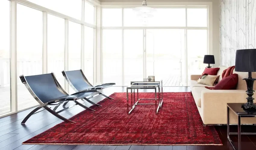 Carpets Bold Colors